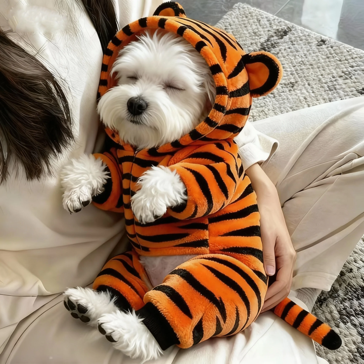 diễm quỳnh on linkedin: #fullstackdeveloper... Quần Áo Mùa Đông Cho Chó Teddy Quần Áo Bốn Chân Ấm Áp Cho Mèo Và Chó ...