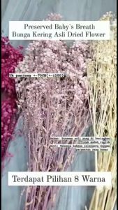 1 PACK Preserved Babys Breath Bunga Kering Asli Dried Flower A011