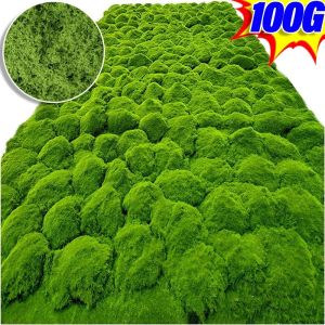 มอสสีเขียวเทียมมอสปลอมขนาดเล็ก50/100ก. กาบมะพร้าวสวนในกระถาง