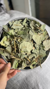 1kg Kim ti ền thảo mùa mới ( khô sạch. thơm) dùng nấu nước bổ thận sạch sỏi..