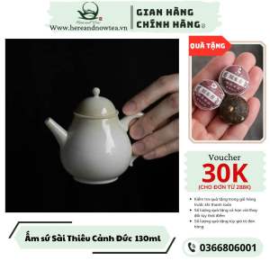 Ấm trà gốm sứ Cảnh Đức ấm pha trà Trung Quốc làm bằng tay cao cấp 130ml teapot