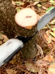 Cưa cầm tay gấp gọn Cưa cây cưa gỗ cưa xếp lưỡi thép hợp kim SK5-HAUSE