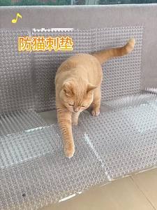 Anti Cat Urination And Climbing Deterrent Spike Mat
