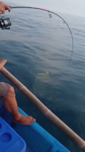 Joran Tridentech Optimus | Joran CastJig | Joran Dasaran | Joran Jigging Solid Carbon