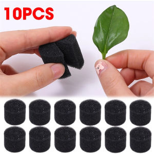 10Pcs Seedling Sponge Block Fixed Planting Sponge In Soilless Culture Hydroponics Block Aquaponics Net Pot Garden Rooting Pots