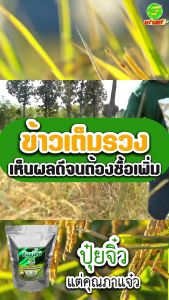 เร่งการแตกราก ดินหลวมร่วนซุย บำรุงต้นใบเพิ่มการแตกกอ ขยายช่อรวงข้าว ปุ๋ยจิ๋ว2ถุง เพิ่มออกซิเจนในดิน เพิ่มประสิทธิภาพการสังเคราะห์แสง พืชแข็งแรง