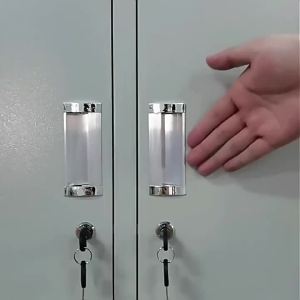 Multifunctional Storage Lockers