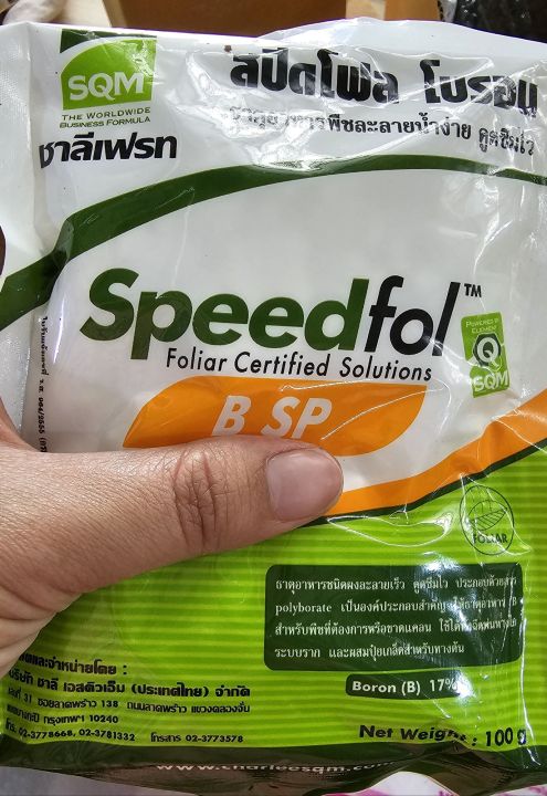 speedfol สปีดโฟล โบรอน เพิ่มโบรอน พืชขาดโบรอน ขนาด 100 กรัม | Lazada.co.th