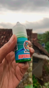 Essen Alpuket Kepiting Gacor Ikan Mas Harian Galatama Sungai Liaraan Kolam Umpan Bebas