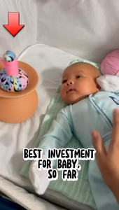 TUNGBAYEE Tungku Herba Bayi 100% Natural *Random Colour*