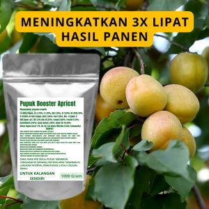 Pupuk Booster Apricot Pelebat Organik Cepat Berbuah Lebat Besar Anti Rontok Pembesar Apricot