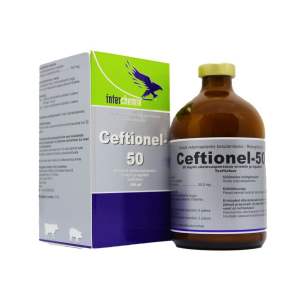 Ceftionel 50 (100ml) holland viêm vú viêm tử cung viêm phổi an toàn cho động vật mang thai
