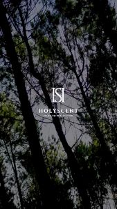 Holyscent - ORGASM Parfum Wanita Tahan Lama Eau De Perfume