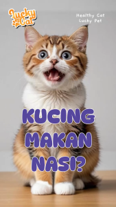 (ISI 10PACK) Lucky Cat Adult Salmon & Tuna / Makanan Kucing Murah - Dry Food Kucing Murah Penggemuk Kucing