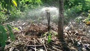 Béc T700 tưới phun mưa có bù áp - Béc tưới gốc phun mưa- hệ thống tưới phun mưa