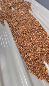 กะบกราคาส่ง10กิโลกรัม คุณภาพสูง ราคาประหยัด 10kg สำหรับการใช้งานในปริมาณที่มาก สะดวกสำหรับการซื้อในปริมาณที่มาก