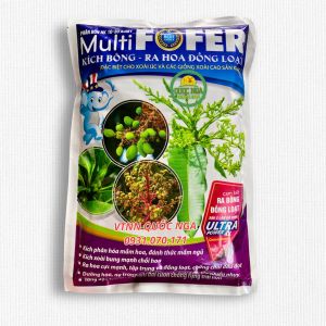 PHÂN BÓN LÁ KÍCH BÔNG XOÀI RA HOA ĐỒNG LOẠT SAU 2 LẦN XỊT Dưỡng Hoa Và Tăng Đậu Trái Khắc Phục Nghẹn Hoa Và Rụng Trái - Lazada