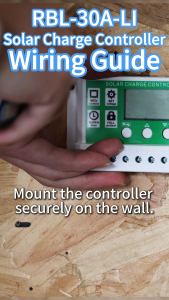 Flowatt 10A PWM Solar Charge Controller 12V 24V Auto With Dual USB Output port Support Lithium Battery Activation