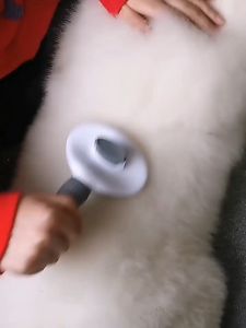 Pet Comb Dog Comb Cat Comb Grooming Comb Fur Removal Hair Care Hair Tools Massage Combing Brush Animal Beauty Tools LELE CAT SUPPLIES