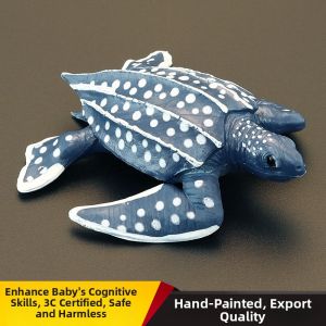 MENGSILE | Static Educational Turtle Model