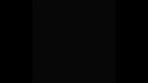 Efek Effect Pedal Stompbox BeatBuddy 10th Anniversary Drum Machine