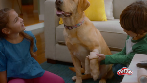 Bộ đồ chơi đất nặn thú y kèm chó đồ chơi hộp đựng Play-Doh Care n Carry Vet Playset with Toy Dog Storage 10 Tools