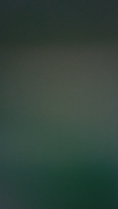 Kamera Camera Trail Pengintai Hunting Trap Hewan Liar PR1600