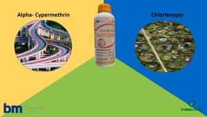 Thuốc diệt muỗi ruồi ANAPY 200 EC 240ml Behn Meyer Đức tác dụng manh tất cả bọ chân khớp như kiến gián ve bọ chó mèo