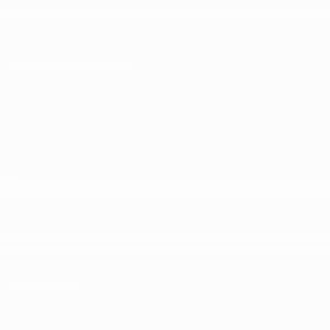 เมมโมรี่การ์ด เสียงอ่านพร้อมหนังสือ สัตว์