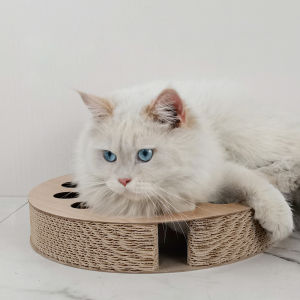 ⚡️Deluxe⚡️ที่ลับเล็บแมวทรงกลม ที่ฝนเล็บแมว กระดาษลูกฟูกลับเล็บ อุปกรณ์เลี้ยงแมว อุปกรณ์สัตว์เลี้ยง ของเล่นแมว 🚚 พร้อมส่ง 🚚