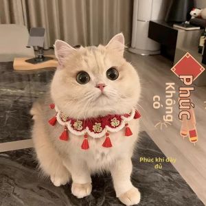 Petone dOrage | New Year Style Cat Collar Knitted