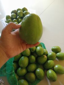 kedondong bangkok 1kg seger kriuk