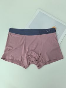 Withdraw from Cupboard Cat Home ~ Modal Seamless Boxer Shorts Breathable Mens Boxer Briefs Summer Thin Comfortable Soft