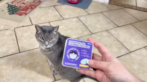 Cat Dog Calming Patches Fast Acting Portable Anxiety Relief for Travel & Vet Visits Long Lasting