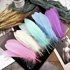 50pcs Natural White Swan Feathers 10-15cm Color Goose Feather For Craft Jewelry Handicrafts​ Decora