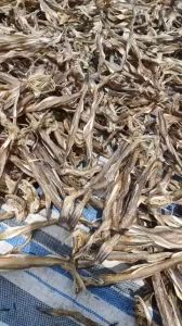 1kg Khô Cá Khoai Sữa Non Hình Búp Sen Non Vị Ngon Tuyệt Vời Tự Nhiên Chiên Giòn Rụm- ĐẶC SẢN MINH TRIẾT