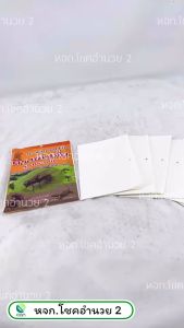 แพค 6 แผ่น กาวดักแมลงวัน ซันเจี่ย (แผ่นกาวดักแมลงวัน)