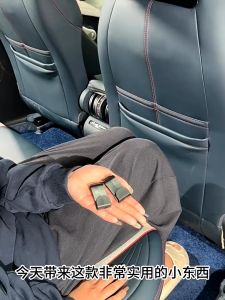 ZLWR 2PCS BYD ATTO 3/BYD dolphin/BYD seal car hook car interior storage storage behind the seats Rack of car interior supplies