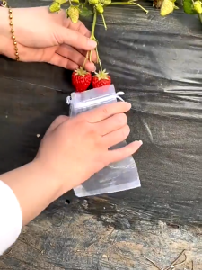 100PCS Insect-proof Fruit Mesh Bags / Plant Growing Net Bag with Drawstring / Reusable Fruit Protect Fruit Protection Bag Grow Bag Mesh Pest Control Products Breathable Gauze,Gift bag Nylon Insect Proof Mesh Bag Fruit Protection Net Bags With Drawstring R