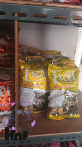 pakan kucing bolt rasa tuna/salmon dewasa dan anak 800 gram