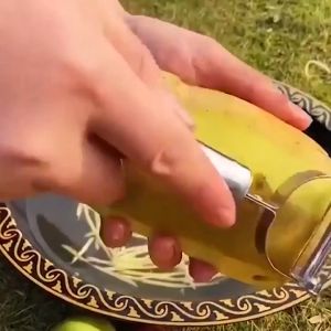 Pisau Kupas Buah Stainleess Steel 2in1 Anti Karat Greater Alat Kupas Sayur Murah Praktis