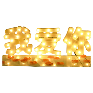 BEAUTY IN THE LIGHT | Romantic Proposal Letter LED Light Decoration