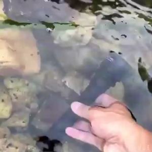 Scuba Dive LED Flashlight 6500k Diving Light Super Bright 3000lm Lamp Underwater Torch Professional diving light Powered by 18650 battery