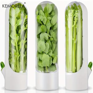 1/2/3PCS Herb Saver Storage Container Fresh Herb Keeper Vanilla Vegetables Fresh Preservation Bottle For Refrigerator Kitchen