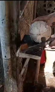 Alat Pengupas Batok Kelapa/ Pencukil Batok Kelapa/ Alat Pembuka Batok Kelapa tua
