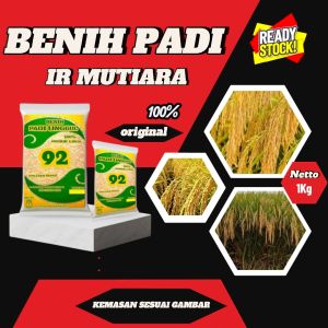 Benih Padi UNGGUL IR MUTIARA SUPER Kemasan 1Kg