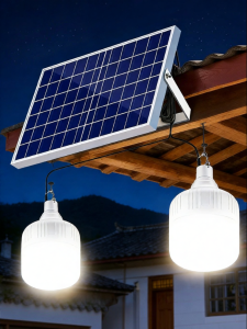 YUANMUXUAN | Solar Indoor & Outdoor Light Bulb