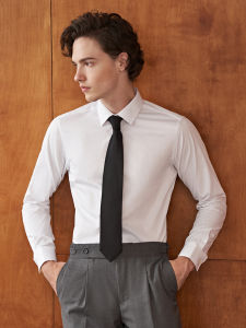 Business Slim Fit No-iron Dress Shirt