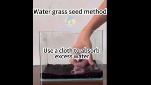 Aqua Soil Substrate For Fish Tank Plant 2.5KG/Bag Water Grass Fertility Mud Aquarium Bottom Sand