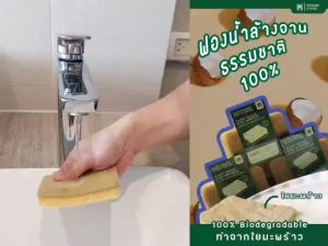 ดีไซน์ใหม่ ทรงเหลี่ยม eco-friendly ฟองน้ำล้างจาน ธรรมชาติ ทำจากใยมะพร้าว และเซลลูโลส ย่อยสายได้ ใช้ล้างขวดนม สก็อตไบร์ท